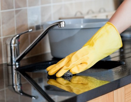 Fresh and hygienic living room after pet stain odour removal