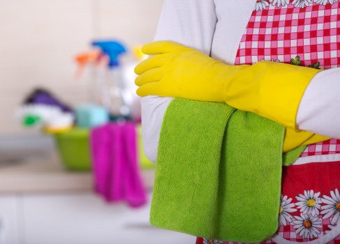 Deep carpet cleaning for pet odour removal in Rayners Lane