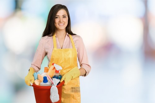 Cleaning pet stains from upholstery and carpets in Rayners Lane