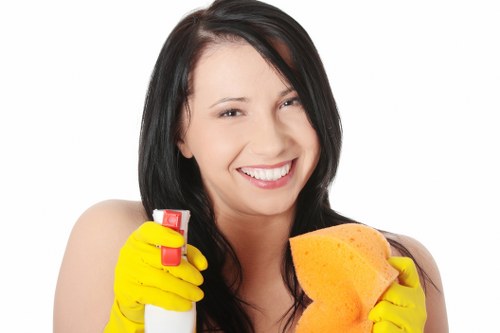 Mattress care and hygiene service for homes in Rayners Lane